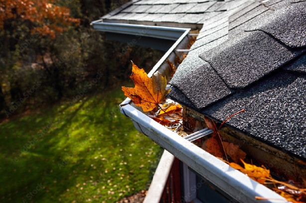 leaves clogging gutters